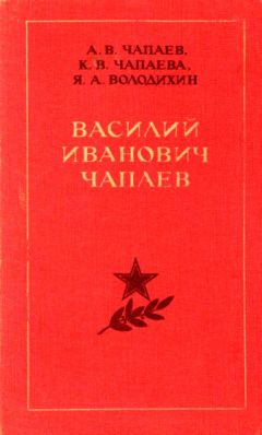 Гордей Щеглов - Год 1863. Забытые страницы