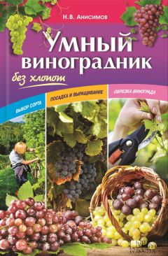 Екатерина Животовская - Умный виноградник для начинающих
