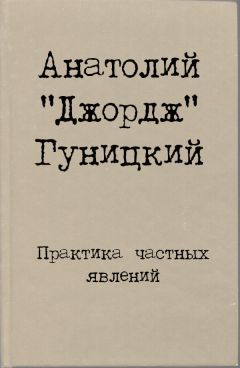 Анатолий Гуницкий - Практика частных явлений