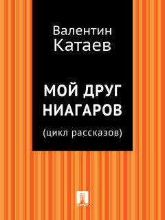 Валентин Катаев - Мой друг Ниагаров (цикл рассказов)