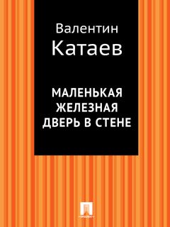 Валентин Катаев - Электрическая машина