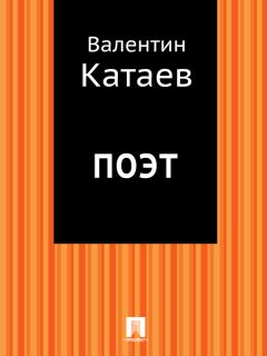 Сергей Филиппов (Серж Фил) - Аист. Абсолютно правдивый роман в стихах