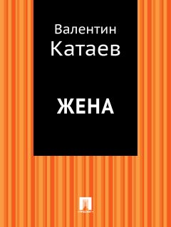 Валентин Катаев - Электрическая машина