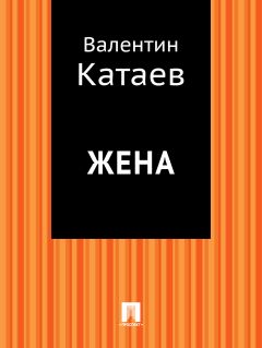 Валентин Катаев - Зимний ветер