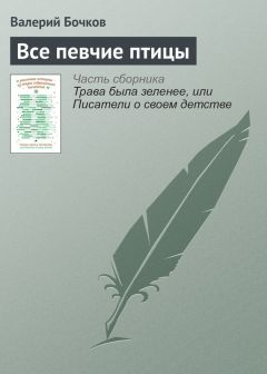 Артем Шейнин - Десантно-штурмовая бригада. Непридуманный Афган