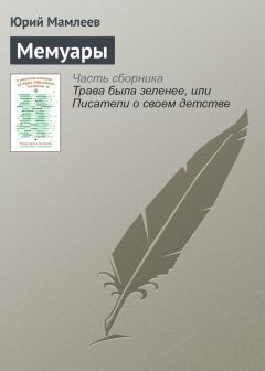 Александр Дорофеев - Мексиканский для начинающих