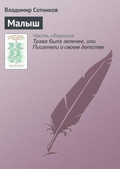 Владимир Сотников - Малыш