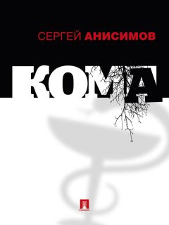 Сергей Фомичёв - Нелегальное Подключение