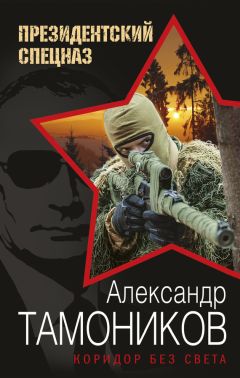 Александр Тамоников - Солдаты из гранита