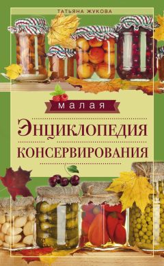 Элга Боровская - Как правильно приготовить соленья. 5 простых правил и более 100 рецептов