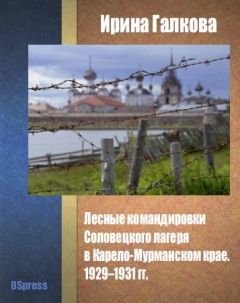 Виктор Бердинских - История одного лагеря (Вятлаг)