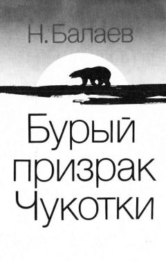 Николай Шундик - Быстроногий олень. Книга 2
