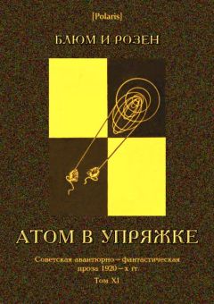Сергей Соколов - Чёрный атом