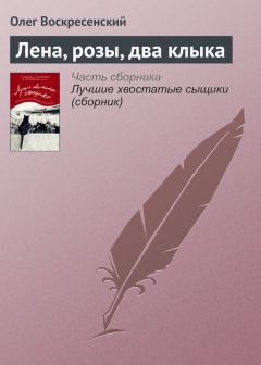Дмитрий Бирман - Путешествие