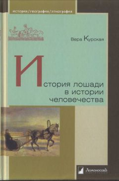 Вера Курская - История лошади в истории человечества