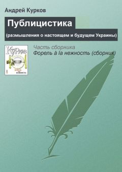 Юрий Лукшиц - Оптимизация функционирования ВР Украины