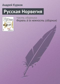 Андрей Курков - Путешествие из Петербурга в Москву