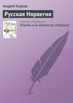 Андрей Курков - О вреде превышения скорости