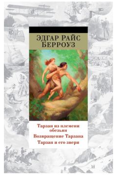 Василий Витько - Хроники племени вайзов