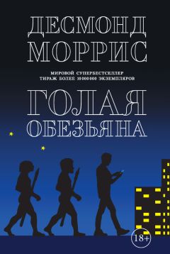 Стюарт Исакофф - Музыкальный строй. Как музыка превратилась в поле битвы величайших умов западной цивилизации