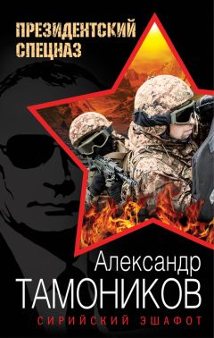 Александр Тамоников - Штурмовая Бригада
