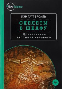 Анатолий Бернацкий - 100 великих тайн человека