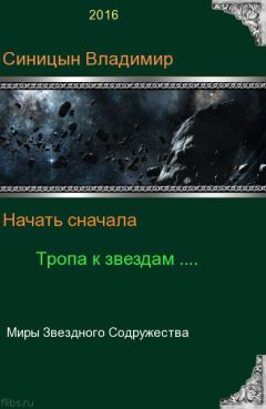 Николай Шмигалев - Юродивый: путь звездного воина