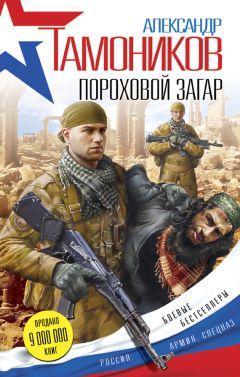 Александр Тамоников - Ангелы сирийского неба