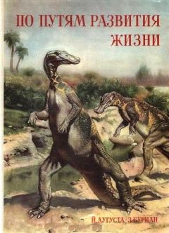 Кирилл Еськов - Удивительная палеонтология. История земли и жизни на ней