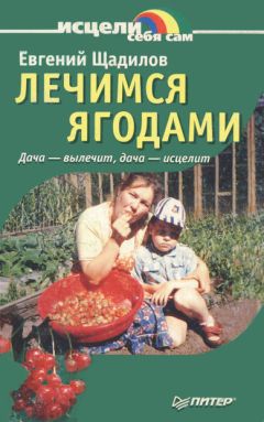 Евгений Щадилов - Лечимся овощами. Дача — вылечит, дача — исцелит