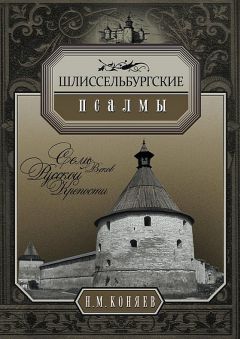 Андрей Синельников - Тайны петербургских крепостей. Шлиссельбургская пентаграмма