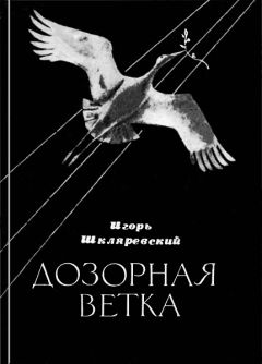 Борис Суслович - Просыпается слово: Cтихотворения, переводы