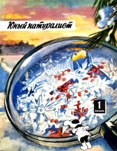 Глеб Голубев - Огненный пояс
