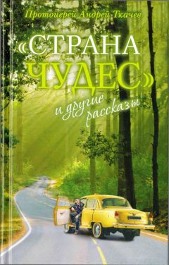 А. Вознесенский - Николай Чудотворец: Полная история жизни, чудес и святости