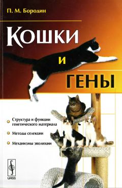 Павел Бородин - Кошки и гены