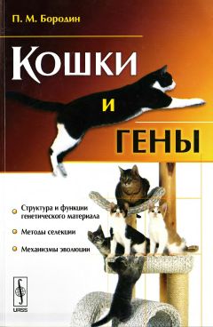 Александр Мазовер - Племенное дело в служебном собаководстве