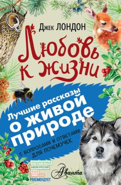 Андрей Климов - Книга ответов для почемучки