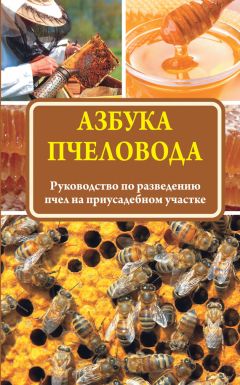 Василий Королев - Пчеловодство: первые шаги к прибыльному хозяйству