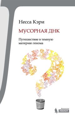 Н. Клёк - Дикие травы нашего края. Книга 2. Растения-аборигены