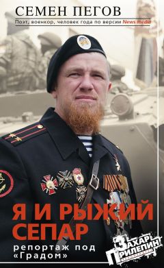 Семен Донченко - Флагман штурмовой авиации