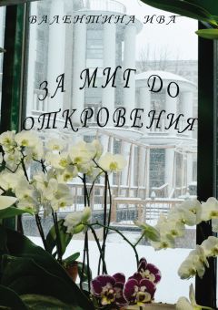 Борис Носик - Дорога долгая легка… (сборник)