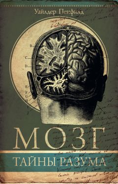 Марио Борегар - Войны мозга. Научные споры вокруг разума и сознания