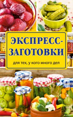 Виктория Рошаль - Экспресс-заготовки