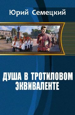 Юрий Семецкий - Душа в тротиловом эквиваленте