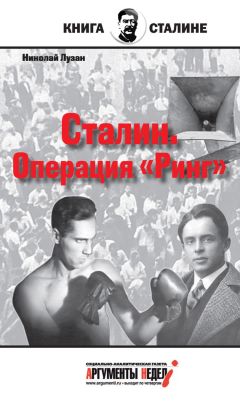 Владимир Николаев - Сталин, Гитлер и мы