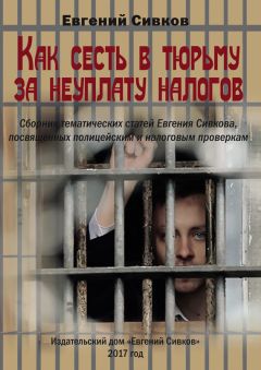 Евгений Сивков - Как сесть в тюрьму за неуплату налогов