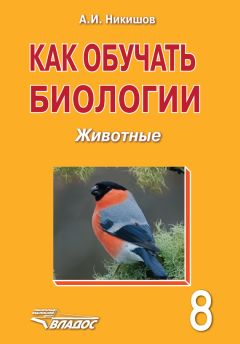 Константин Иосифов - Чудо-компасы