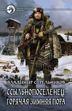 Владимир Стрельников - Ссыльнопоселенец. Горячая зимняя пора