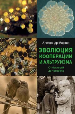 Александр Невзоров - Происхождение личности и интеллекта человека