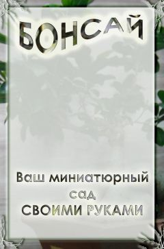 Оксана Добрикова - Западная Франция (авторский путеводитель для самостоятельного туриста)